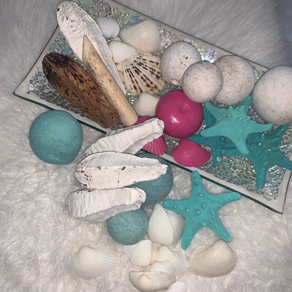 Seashells